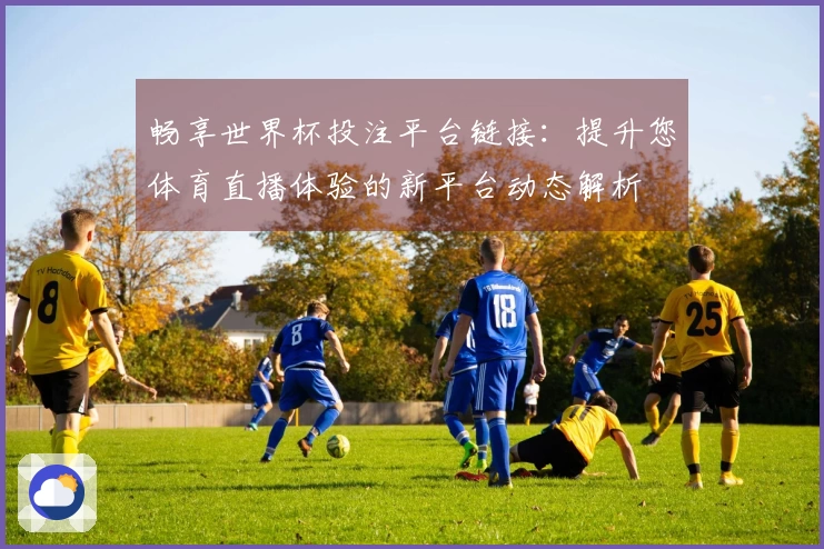 畅享世界杯投注平台链接：提升您体育直播体验的新平台动态解析