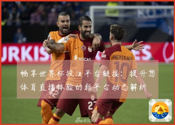 畅享世界杯投注平台链接：提升您体育直播体验的新平台动态解析