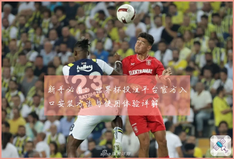 新手必看：世界杯投注平台官方入口安装方法与使用体验详解